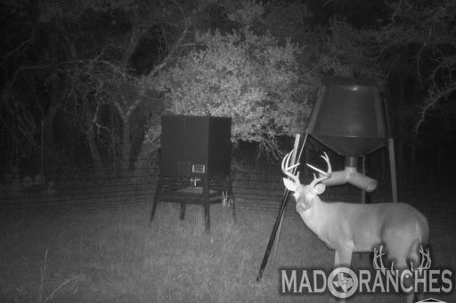 tract-1-tbd-hwy-36-comanche-tx-76442