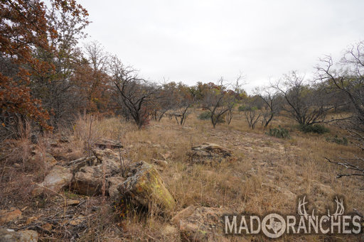 tract-1-tbd-hwy-36-comanche-tx-76442