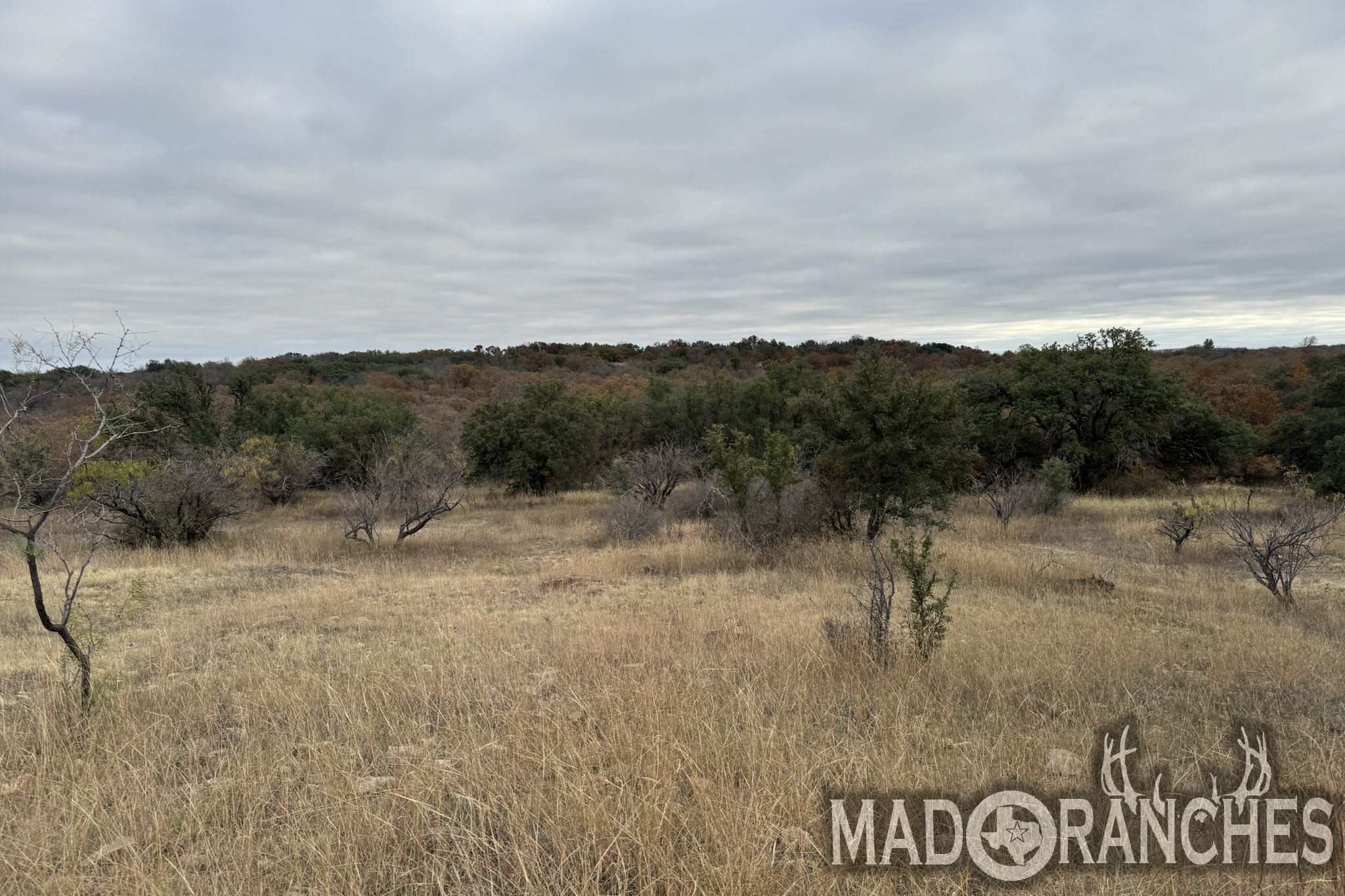 tbd-hwy-36-comanche-tx-76444