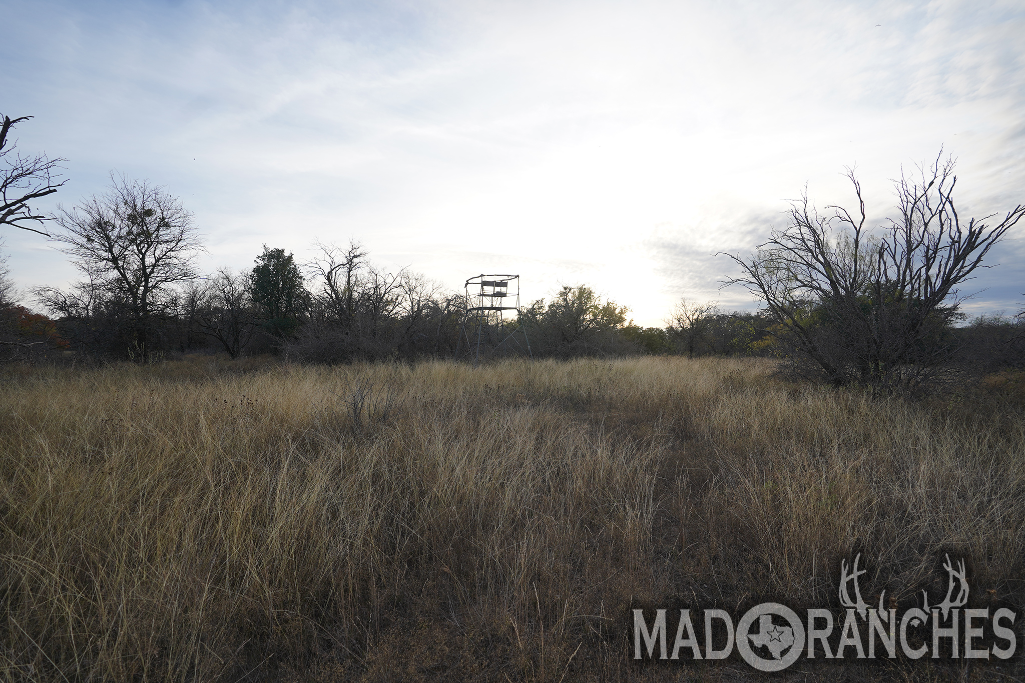 tbd-hwy-36-comanche-tx-76445