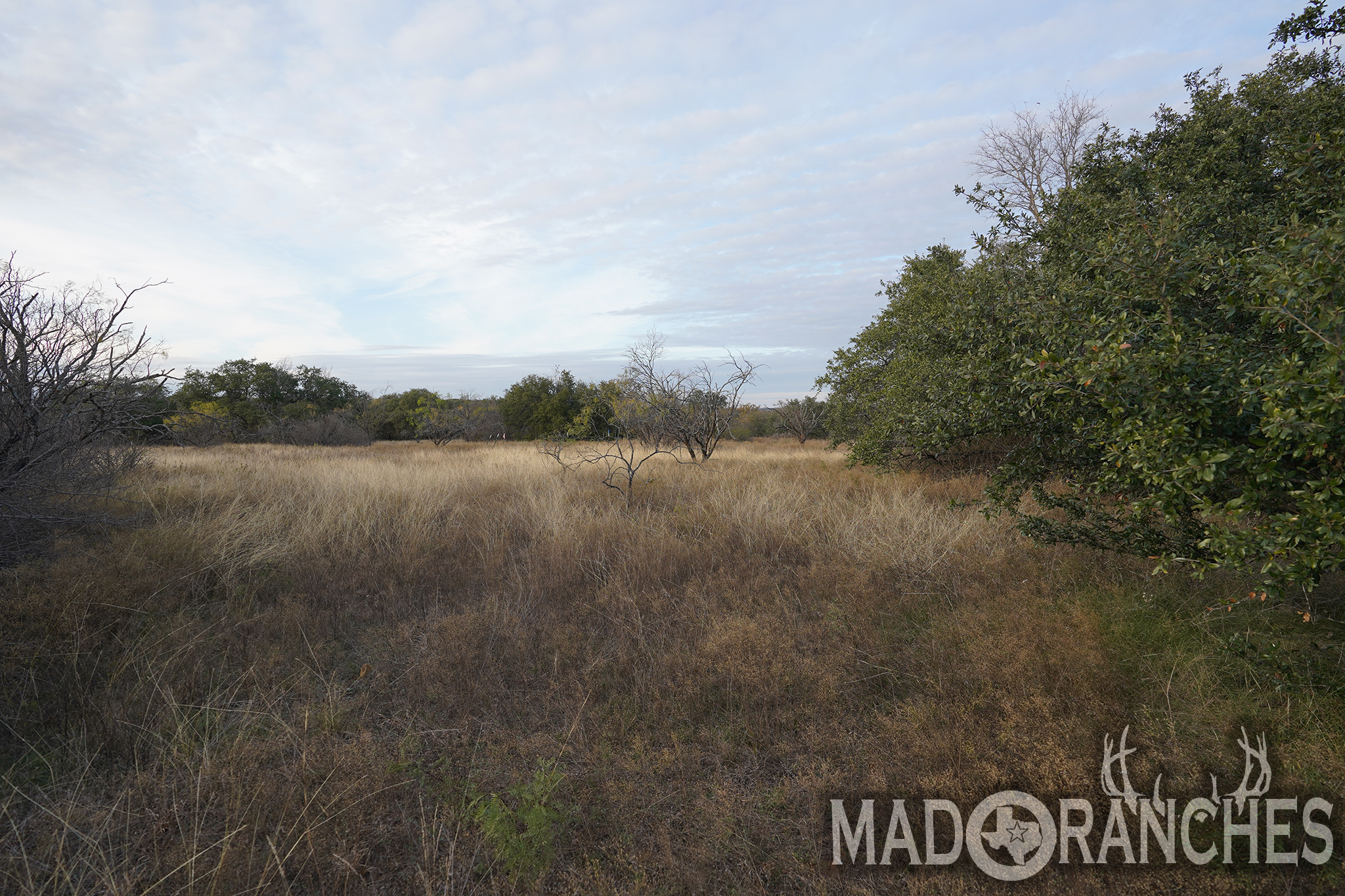 tbd-hwy-36-comanche-tx-76445