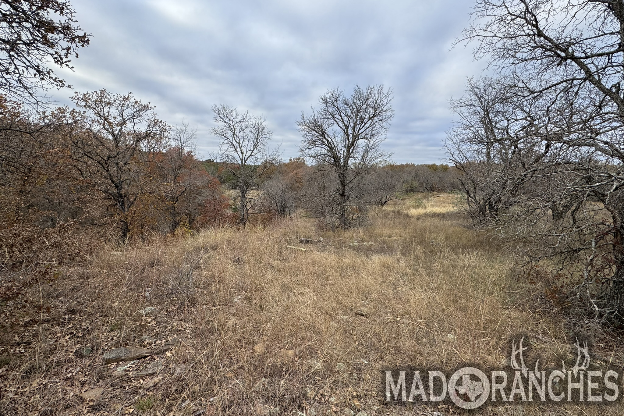 tbd-hwy-36-comanche-tx-76444