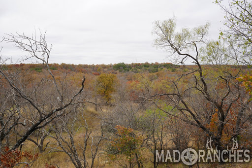 tract-1-tbd-hwy-36-comanche-tx-76442