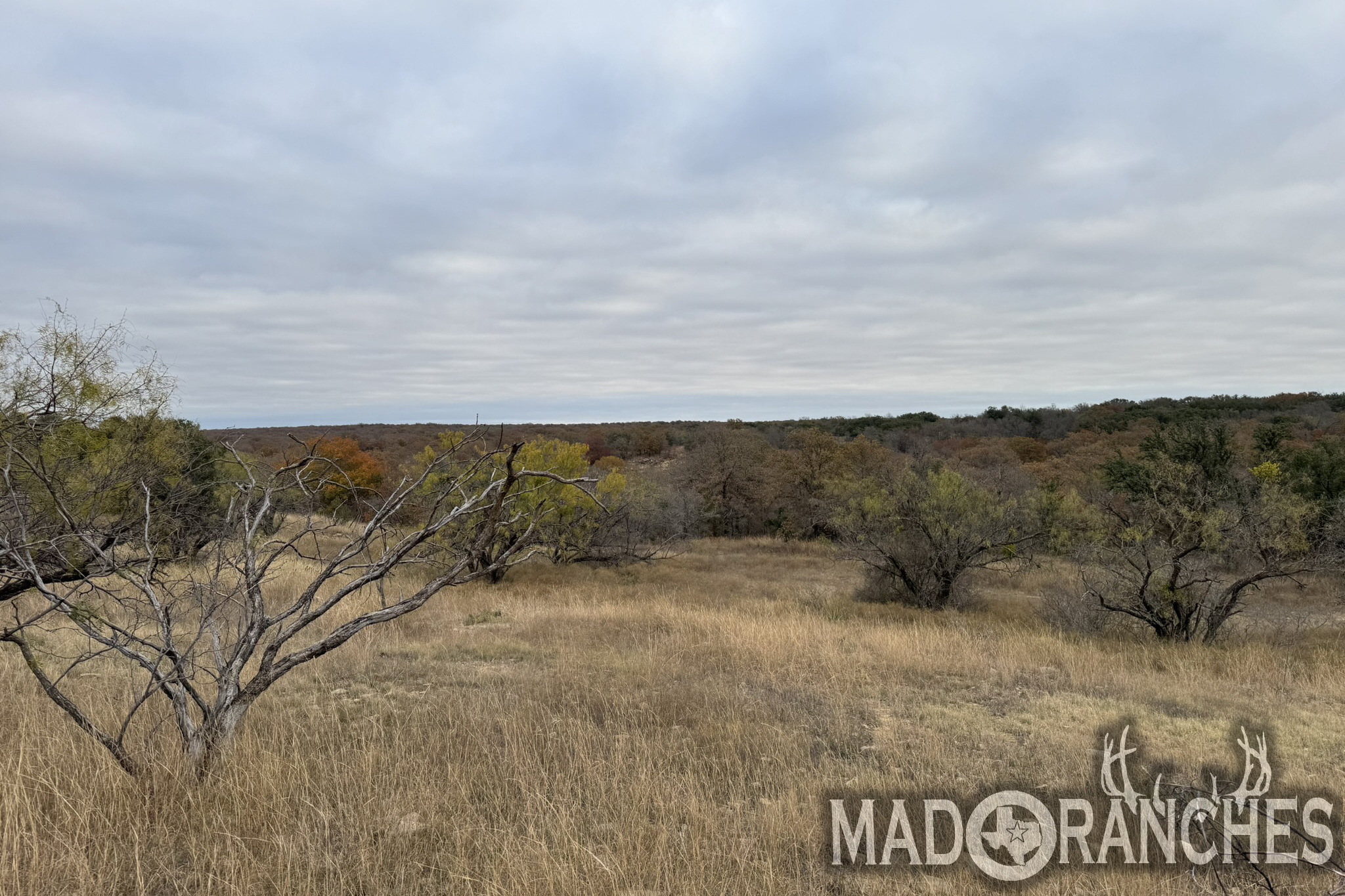 tbd-hwy-36-comanche-tx-76444