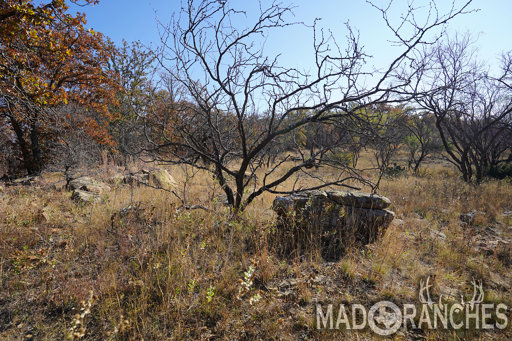 tract-1-tbd-hwy-36-comanche-tx-76442