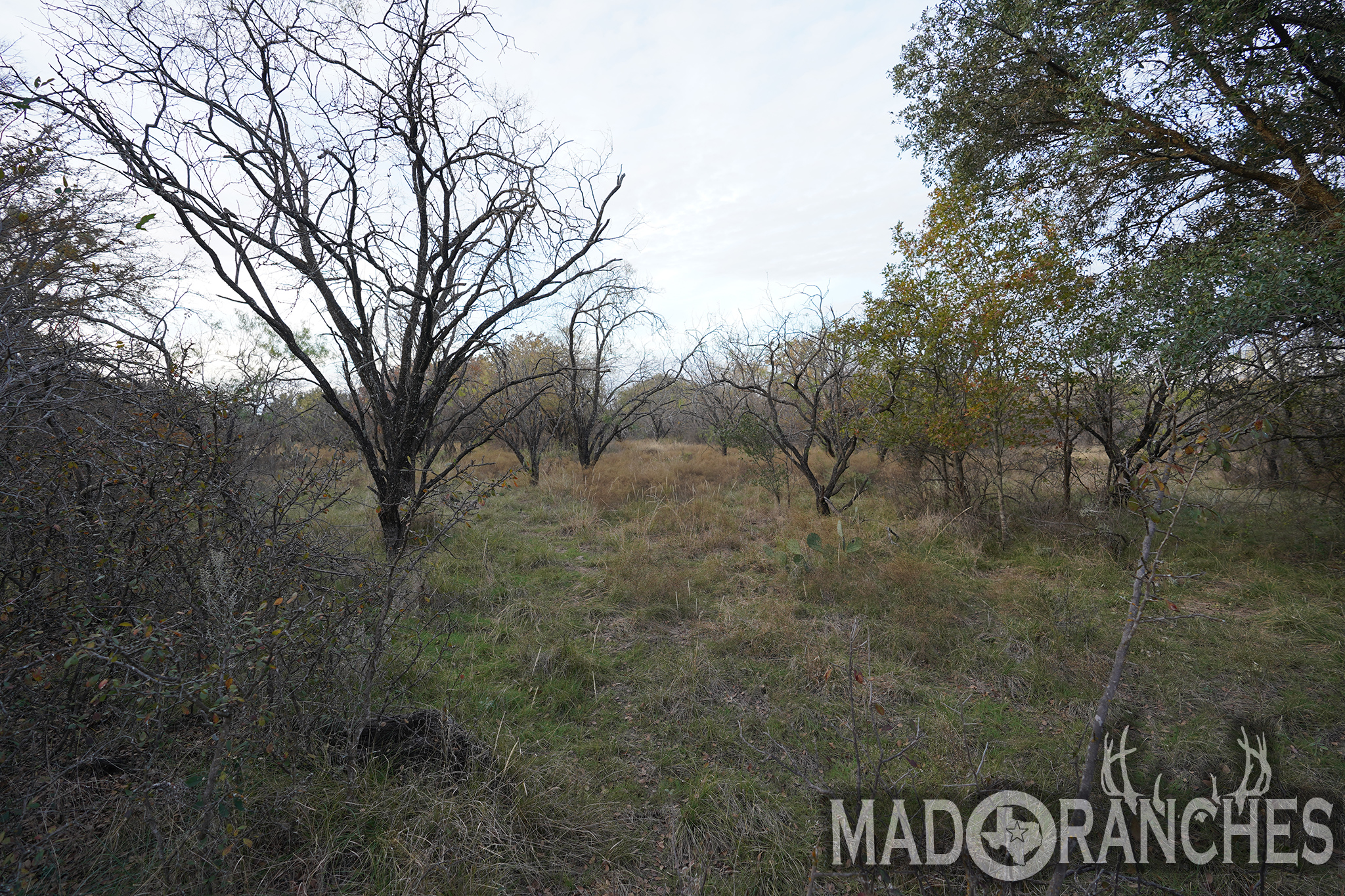 tbd-hwy-36-comanche-tx-76445