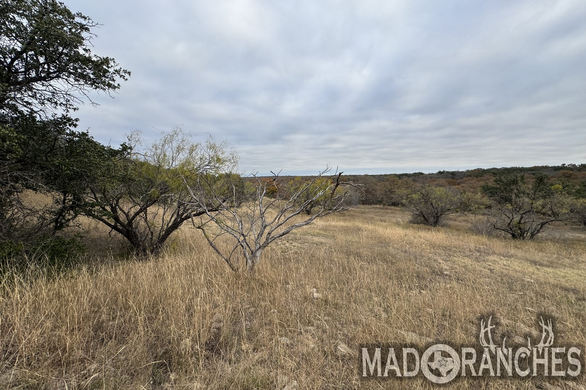 tbd-hwy-36-comanche-tx-76444