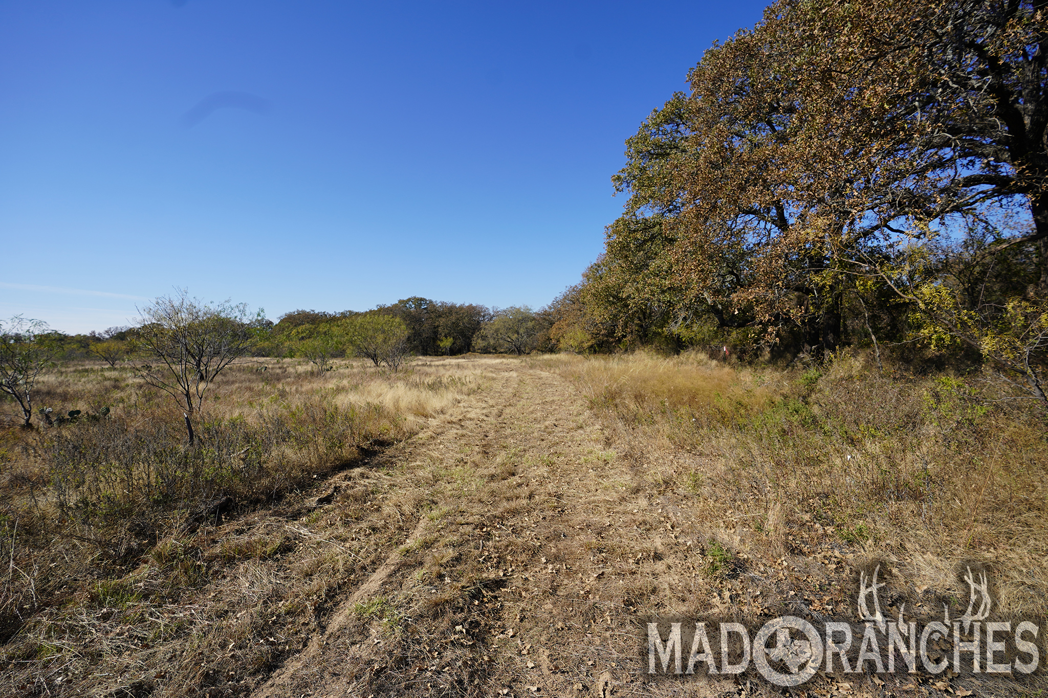 tbd-hwy-36-comanche-tx-76441