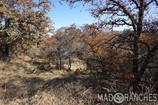 tract-1-tbd-hwy-36-comanche-tx-76442