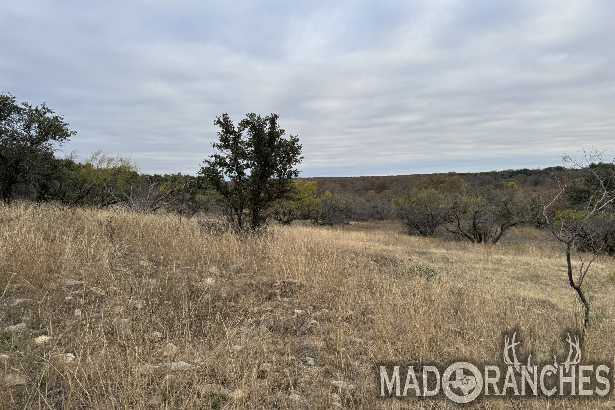 tbd-hwy-36-comanche-tx-76444