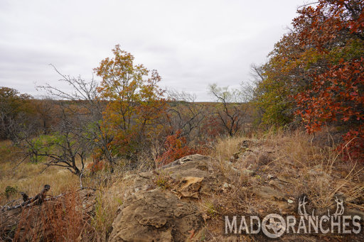 tract-1-tbd-hwy-36-comanche-tx-76442