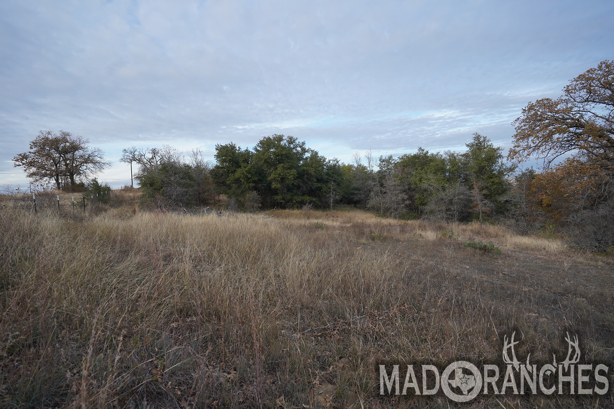 tbd-hwy-36-comanche-tx-76445