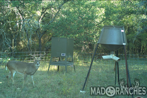 tract-1-tbd-hwy-36-comanche-tx-76442