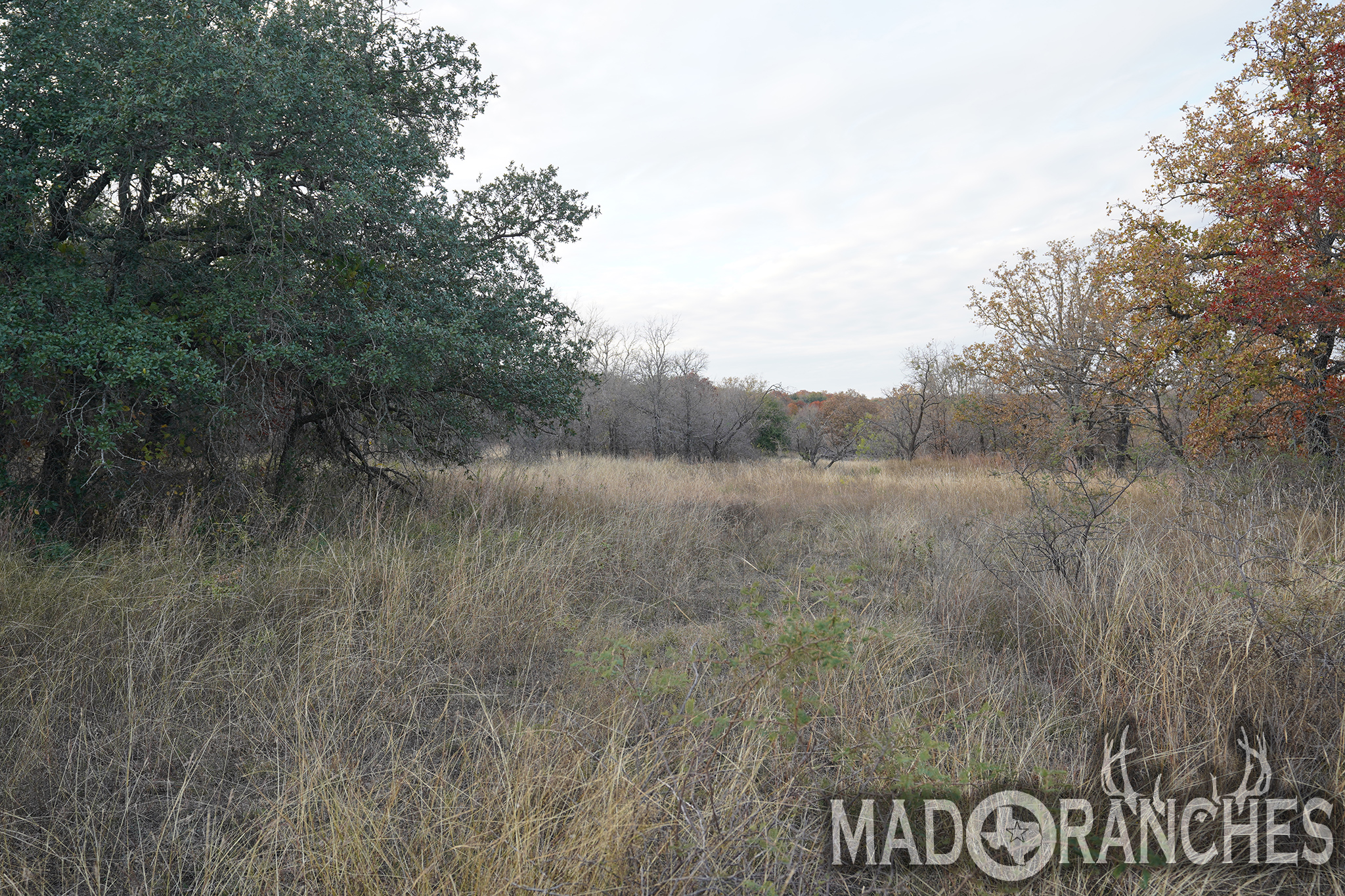 tbd-hwy-36-comanche-tx-76445