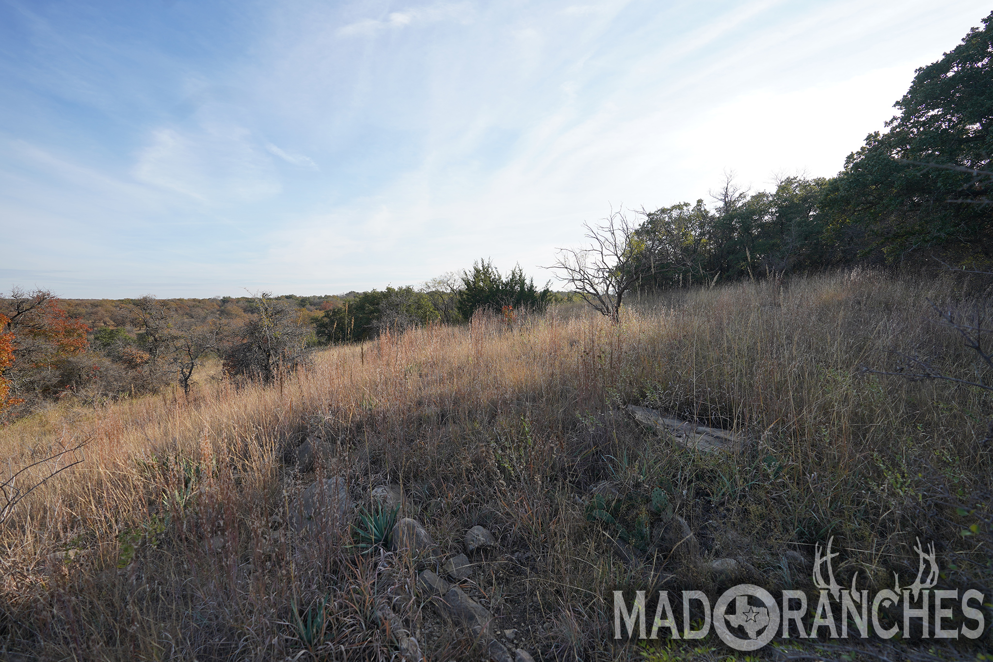 tbd-hwy-36-comanche-tx-76443