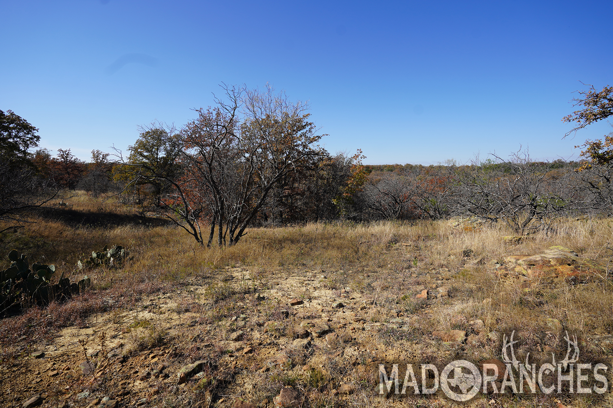 tbd-hwy-36-comanche-tx-76441