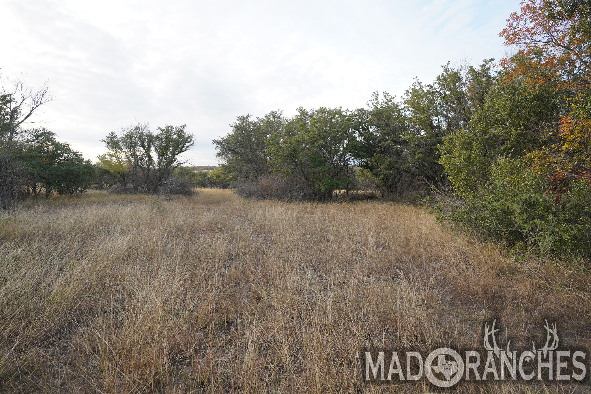 tbd-hwy-36-comanche-tx-76445