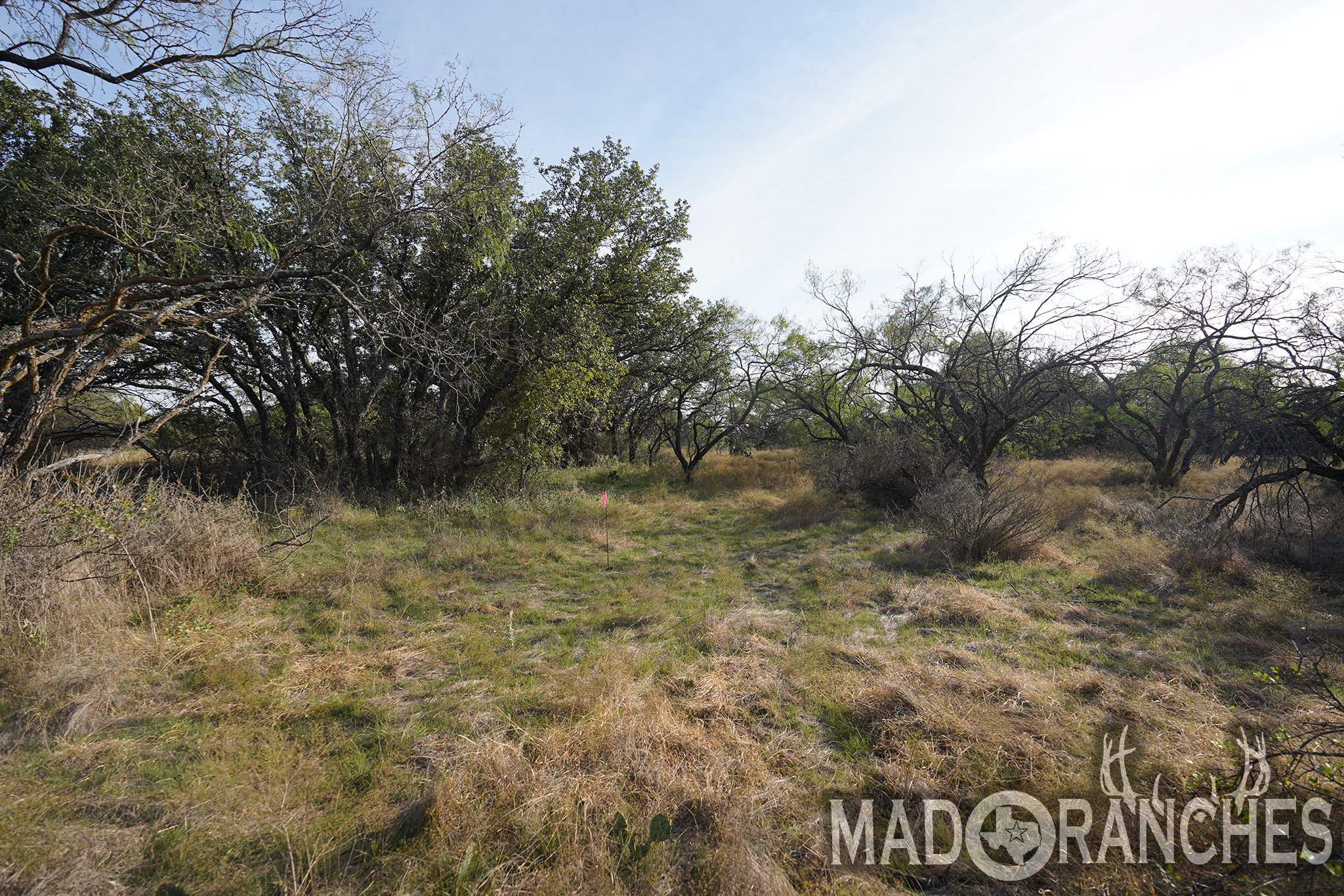 tbd-hwy-36-comanche-tx-76443