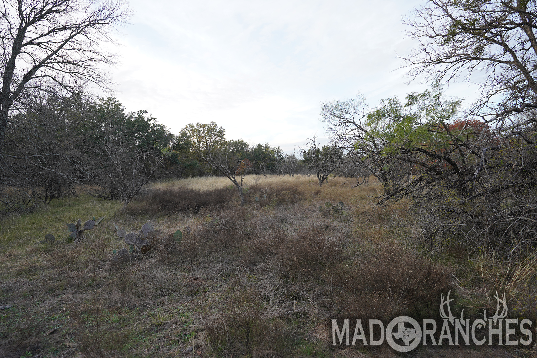 tbd-hwy-36-comanche-tx-76445