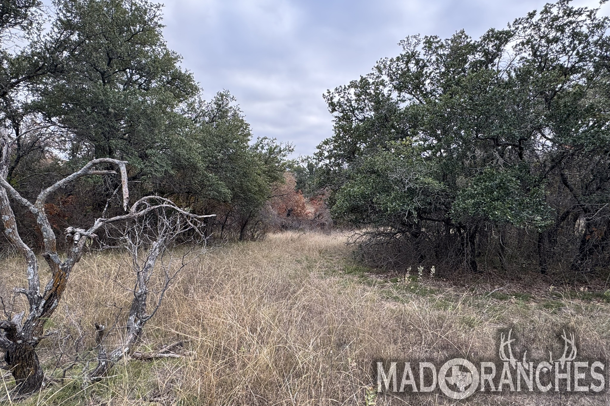 tbd-hwy-36-comanche-tx-76444