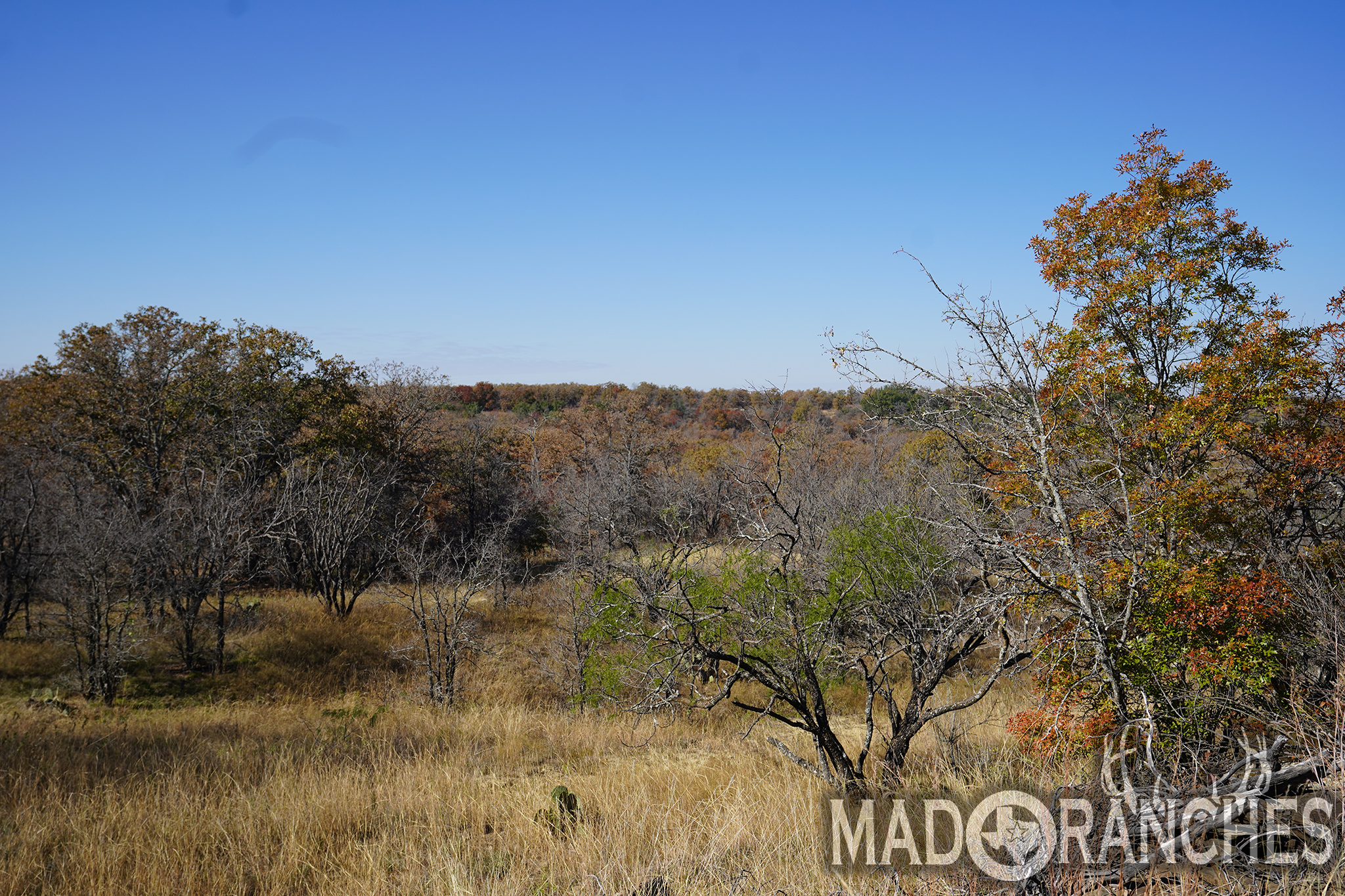 tbd-hwy-36-comanche-tx-76441