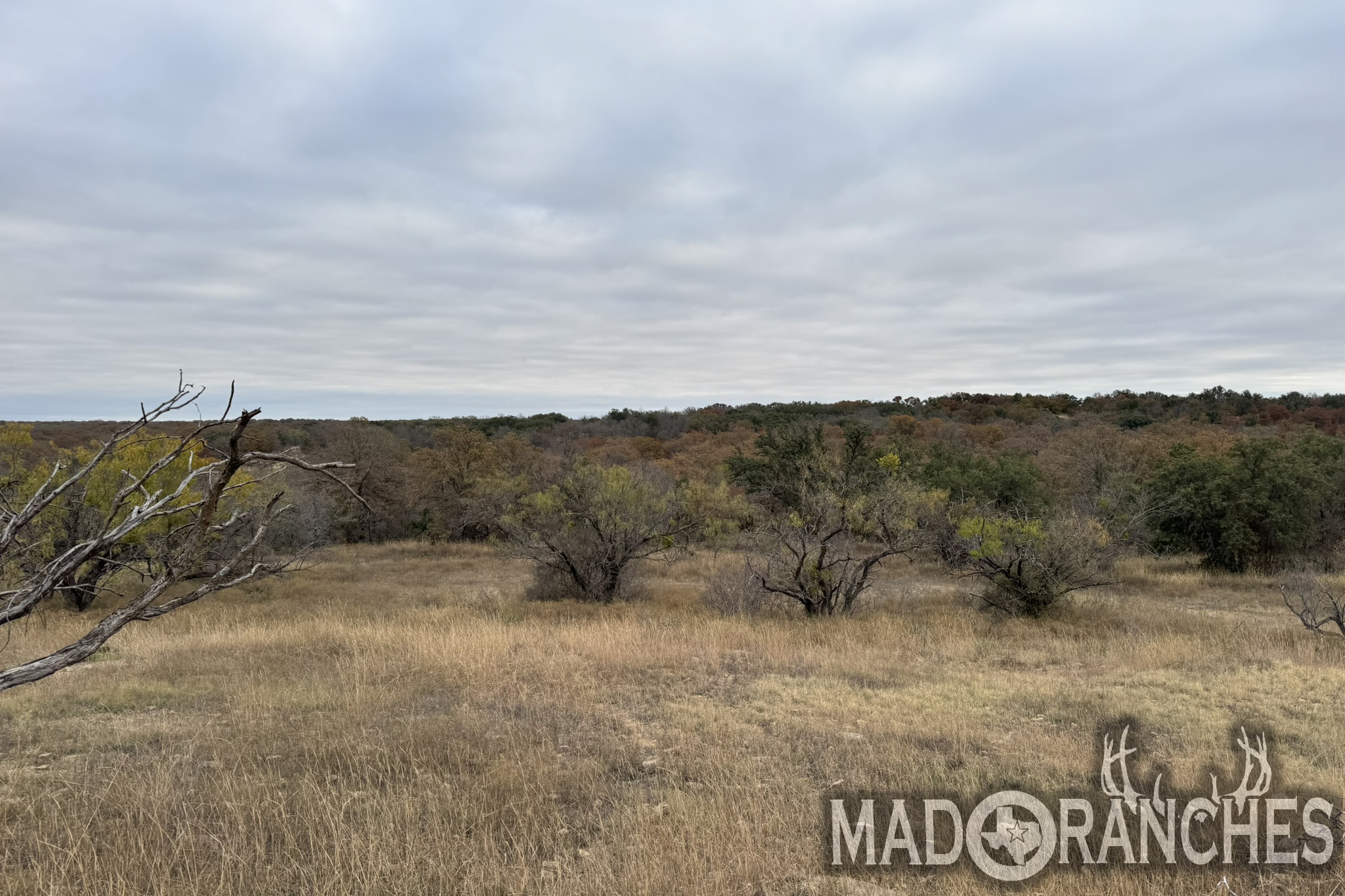 tbd-hwy-36-comanche-tx-76444